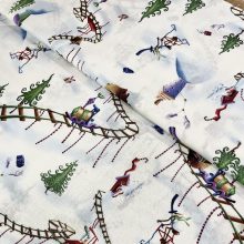 Karácsonyi téli vonatozás (Zweig)