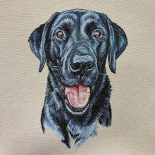 Párna panel labrador