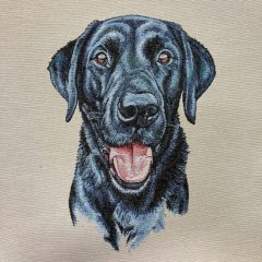 Párna panel labrador