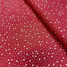 Karácsonyi csillagos vászon, piros